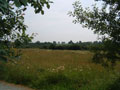 celtic park - view over the property.jpg